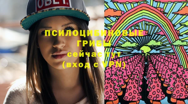 дживик Армянск