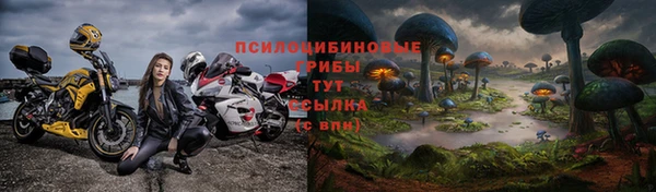 дживик Армянск