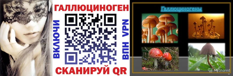 Псилоцибиновые грибы Psilocybine cubensis Суджа
